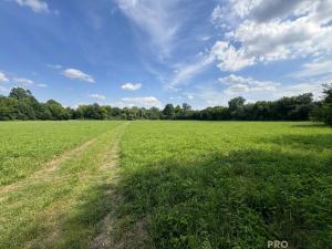 Prodej louky, Rohatec, 1161 m2