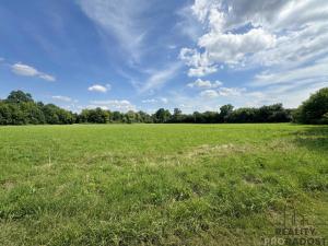 Prodej louky, Rohatec, 1161 m2
