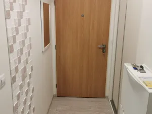 Pronájem bytu 1+kk, Brno, Nad Přehradou, 24 m2