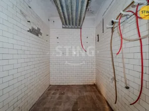 Prodej rodinného domu, Větřkovice, 497 m2