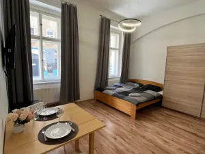 Pronájem bytu 1+kk, Praha - Žižkov, Cimburkova, 31 m2