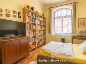 Prodej bytu 1+1, Ústí nad Labem - Střekov, Žukovova, 48 m2