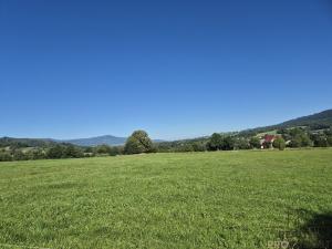 Pronájem zahrady, Bukovec, 1755 m2