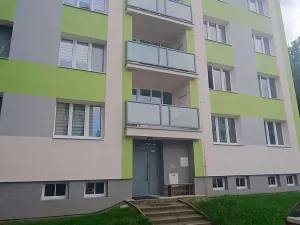 Pronájem bytu 2+1, Plasy, Babinská, 56 m2