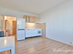 Pronájem bytu 2+kk, Brno, Velkopavlovická, 44 m2