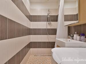 Pronájem bytu 2+kk, Brno, Velkopavlovická, 44 m2