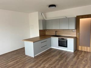 Pronájem bytu 1+kk, Liberec, Švermova, 40 m2