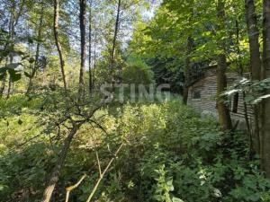 Prodej zahrady, Vratimov - Horní Datyně, 4381 m2