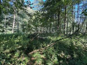 Prodej zahrady, Vratimov - Horní Datyně, 4381 m2