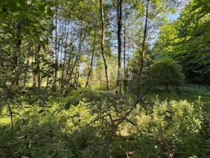 Prodej zahrady, Vratimov - Horní Datyně, 4381 m2