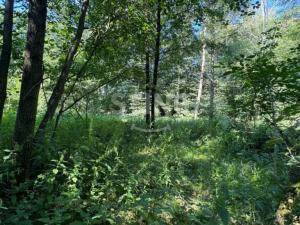Prodej zahrady, Vratimov - Horní Datyně, 4381 m2