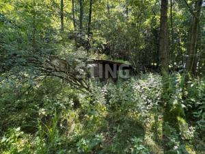 Prodej zahrady, Vratimov - Horní Datyně, 4381 m2