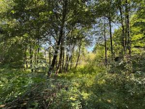 Prodej zahrady, Vratimov - Horní Datyně, 4381 m2