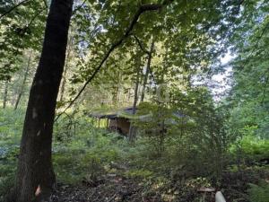 Prodej zahrady, Vratimov - Horní Datyně, 4381 m2