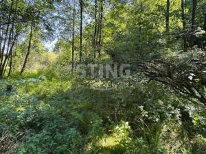 Prodej zahrady, Vratimov - Horní Datyně, 4381 m2