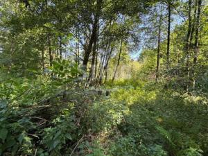 Prodej zahrady, Vratimov - Horní Datyně, 4381 m2
