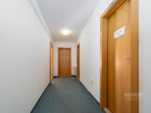 Pronájem kanceláře, Praha - Bubeneč, Na Zátorce, 15 m2