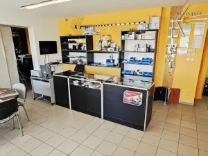 Prodej bytu 1+kk, Kralupy nad Vltavou, Přemyslova, 133 m2