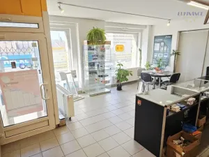 Prodej bytu 1+kk, Kralupy nad Vltavou, Přemyslova, 133 m2