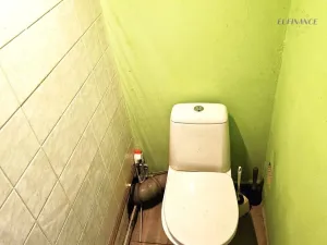 Prodej bytu 1+kk, Kralupy nad Vltavou, Přemyslova, 133 m2