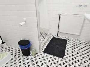 Prodej obchodního prostoru, Kralupy nad Vltavou, Přemyslova, 133 m2