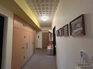 Pronájem bytu 3+1, Hodonín, B. Němcové, 89 m2