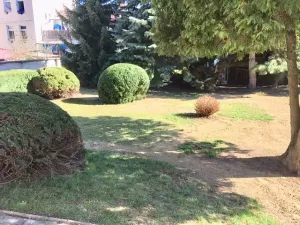 Prodej kanceláře, Šumperk, Bří. Čapků, 237 m2