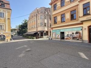 Prodej obchodního prostoru, České Budějovice - České Budějovice 1, Krajinská, 470 m2