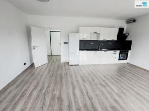 Pronájem bytu 1+kk, Plzeň, Pilařská, 43 m2