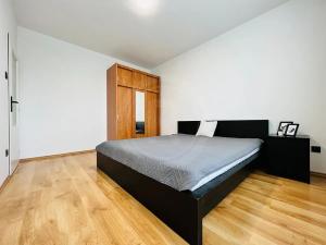 Pronájem bytu 2+kk, České Budějovice, Riegrova, 50 m2