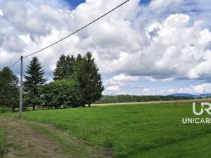 Prodej chaty, Červená Voda - Dolní Orlice, 202 m2