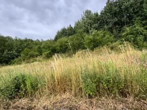 Prodej pozemku pro bydlení, Psáry, Na Návsi, 1216 m2