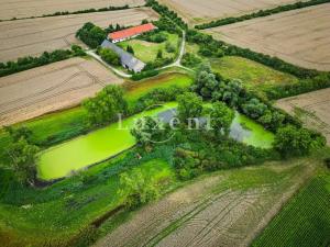 Prodej zemědělské usedlosti, Běrunice, 600 m2