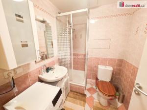 Prodej bytu 1+kk, Hostivice, B. Němcové, 33 m2