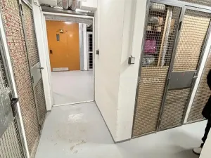 Prodej bytu 3+1, Přerov, tř. 17. listopadu, 61 m2
