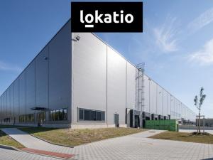 Pronájem skladu, Pardubice - Rosice, 2600 m2