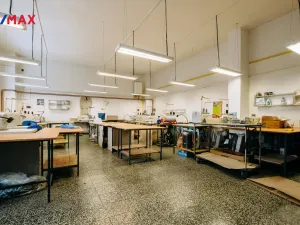 Prodej výrobních prostor, Třebíč - Borovina, Fibichova, 360 m2
