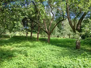 Prodej rodinného domu, Slavníč, 120 m2