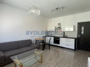 Pronájem bytu 2+kk, České Budějovice, B. Smetany, 40 m2