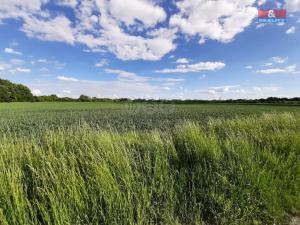 Prodej pole, Olomouc - Slavonín, 12778 m2