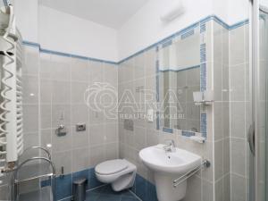 Pronájem bytu 1+kk, Praha - Vinohrady, Balbínova, 24 m2