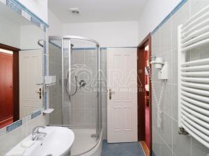 Pronájem bytu 1+kk, Praha - Vinohrady, Balbínova, 24 m2