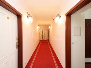 Pronájem bytu 1+kk, Praha - Vinohrady, Balbínova, 24 m2