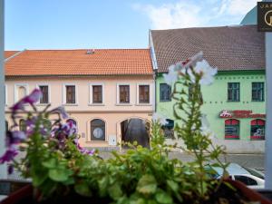 Prodej ubytování, Žatec, Oblouková, 409 m2