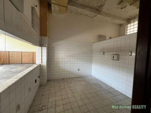 Pronájem výrobních prostor, Praha - Vysočany, Lisabonská, 250 m2