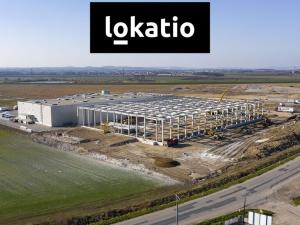 Pronájem výrobních prostor, Blučina, 2208 m2