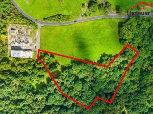 Prodej louky, Ústí nad Labem - Neštěmice, Zelená, 10041 m2