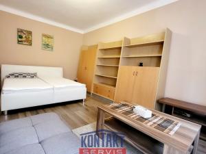 Pronájem bytu 2+kk, České Budějovice, Čechova, 55 m2