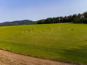 Prodej rodinného domu, Dešenice, 146 m2