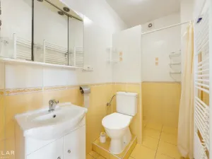 Prodej rodinného domu, Ratíškovice, Múdrá, 172 m2